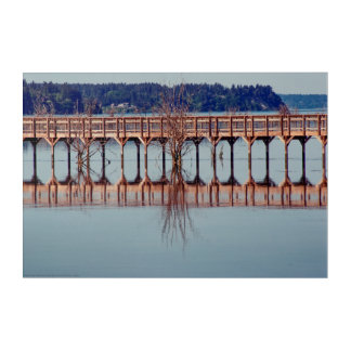 Reflecting Together Acrylic Print