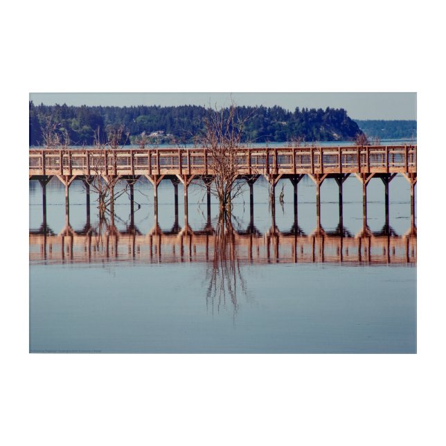 Reflecting Together Acrylic Print (Front)
