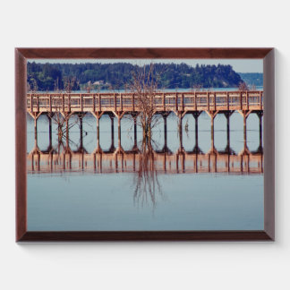 Reflecting Together Award Plaque