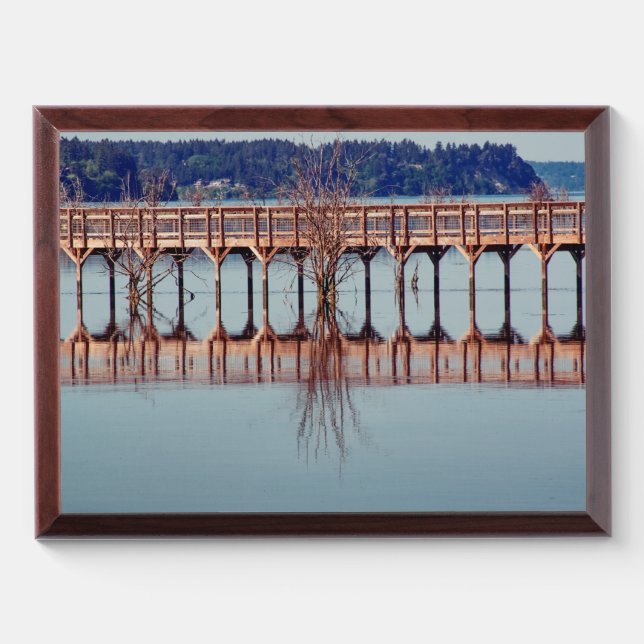 Reflecting Together Award Plaque (Horizontal)