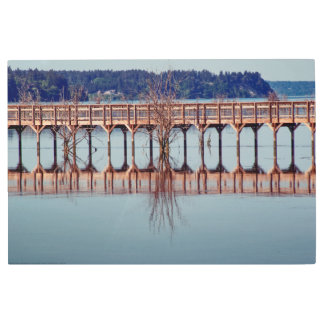Reflecting Together Metal Print