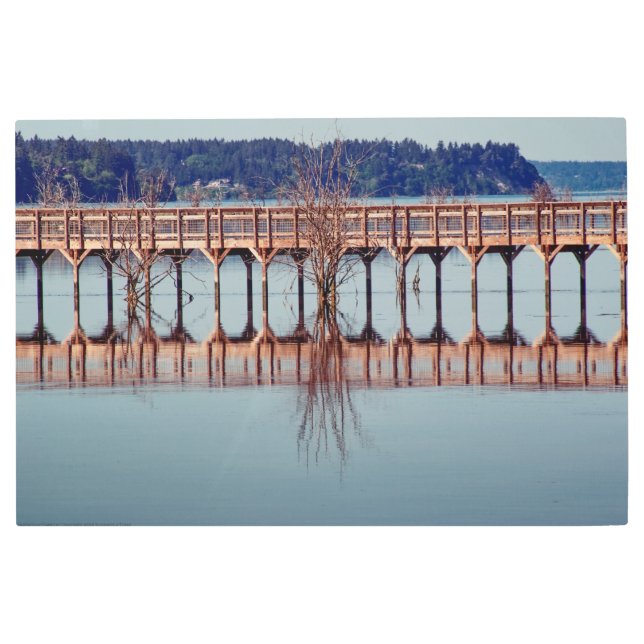 Reflecting Together Metal Print (Front)