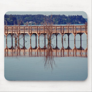 Reflecting Together Mouse Pad