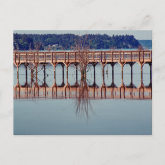 Reflecting Together Postcard