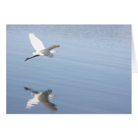 Reflection (Front Horizontal)