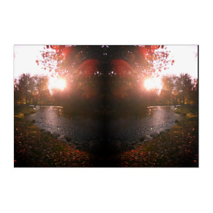 Reflection Acrylic Wall Art