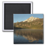 Reflection at Jenny Lake Grand Teton National Park Magnet
