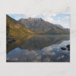 Reflection at Jenny Lake II Postcard