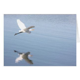 Reflection Cards
