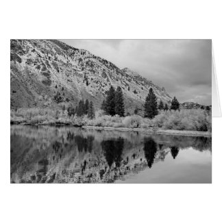 Reflection Cards