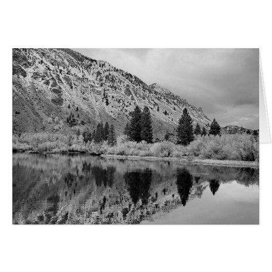 Reflection Cards (Front Horizontal)