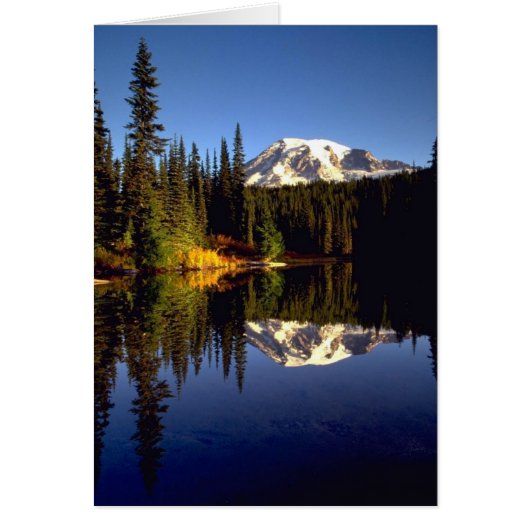 Reflection Cards (Front)