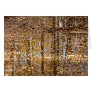 Reflection in Still Creek at Greenbelt Park Cards