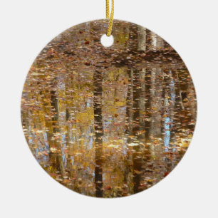 Reflection in Still Creek at Greenbelt Park Ceramic Ornament