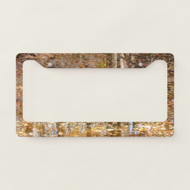 Reflection in Still Creek at Greenbelt Park License Plate Frame (Front)
