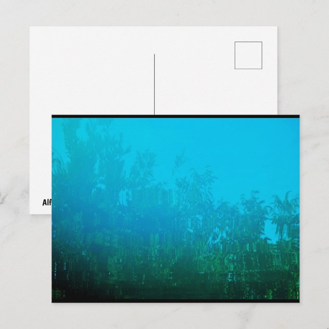 Reflection in the Water Postcard (Front/Back)