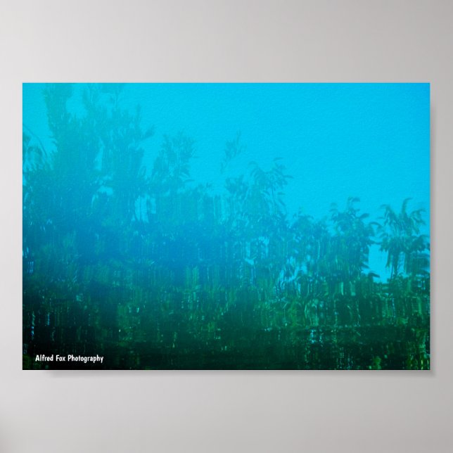 Reflection in the Water Poster (Front)