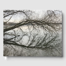 Reflection: Mind Edition