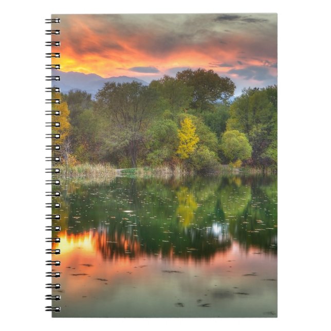 Reflection Notebook (Front)