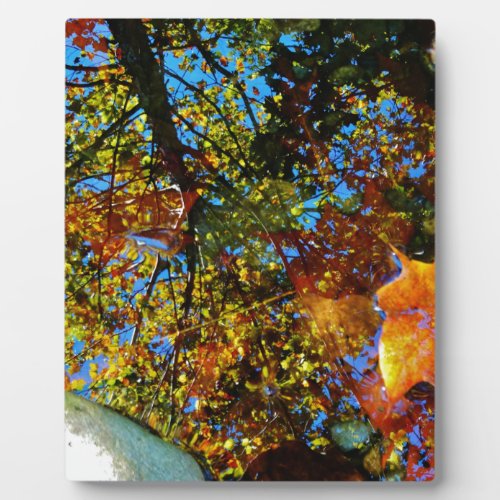 Reflection of Fall Plaque
