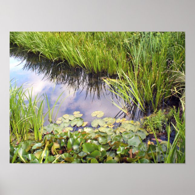 Reflection of the sky in the lake with water lilie poster (Front)