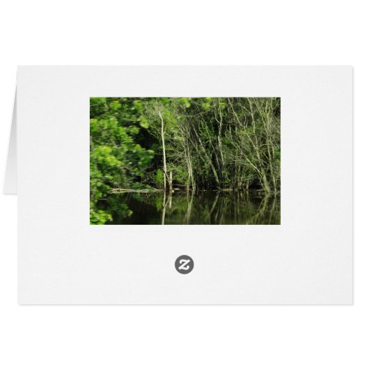 Reflection of Trees in Water Photograph Blank Card (Back Horizontal)