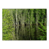 Reflection of Trees in Water Photograph Blank Card (Front Horizontal)