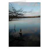Reflection pond cards (Front)