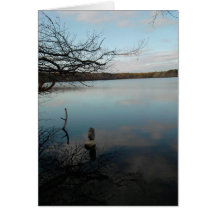Reflection pond