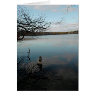 Reflection pond cards