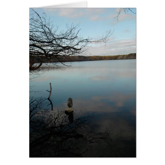 Reflection pond cards (Front)