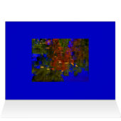 Reflections (Inside Horizontal (Top))