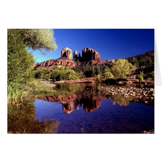 Reflections (Front Horizontal)