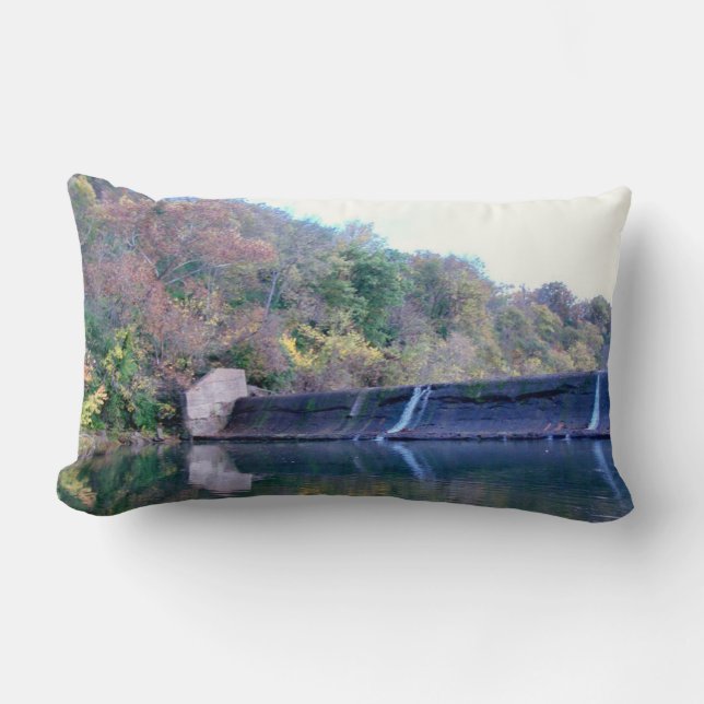 Reflections 7 Pillow (Front)