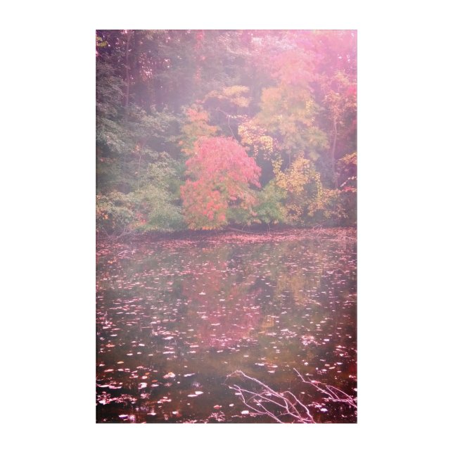 Reflections Acrylic Wall Art (Front)