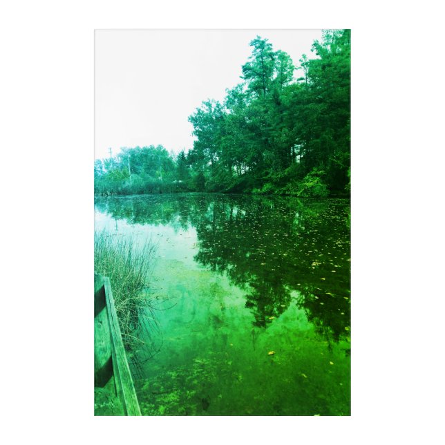 Reflections Acrylic Wall Art (Front)