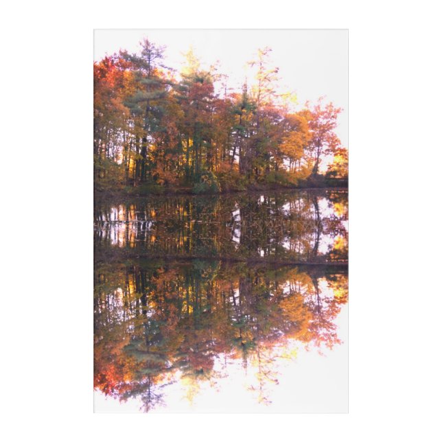 Reflections Acrylic Wall Art (Front)