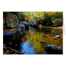 Reflections at Big Creek