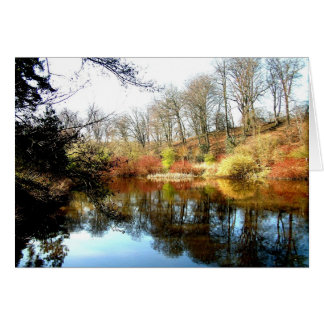 reflections cards