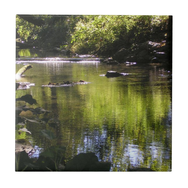 Reflections Ceramic Tile (Front)