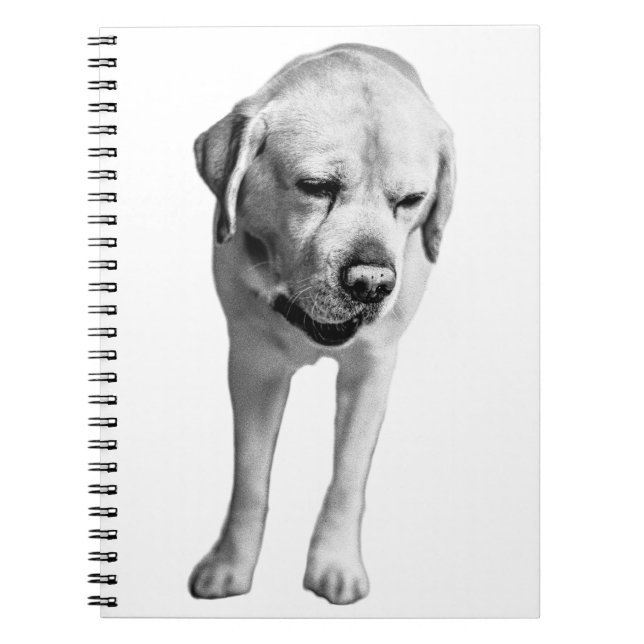 Reflections in Ink Notebook (Front)