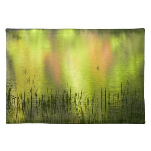 Reflections in Mirror Lake  Yosemite Cloth Placemat