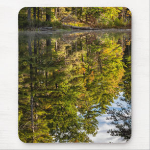 Reflections in Red Eagle Pond   White Mountains Mouse Pad