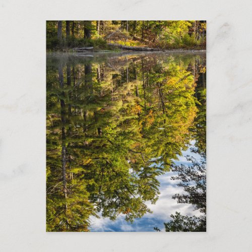 Reflections in Red Eagle Pond  White Mountains Postcard