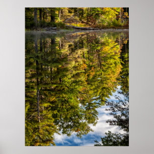 Reflections in Red Eagle Pond White Mountains Poster