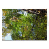 Reflections in water (Front Horizontal)