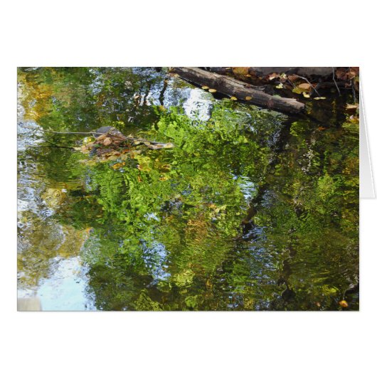 Reflections in water (Front Horizontal)