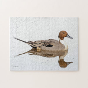 Reflections of a Northern Pintail Duck Jigsaw Puzzle