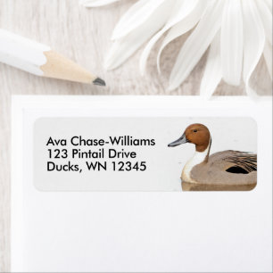 Reflections of a Northern Pintail Duck Label