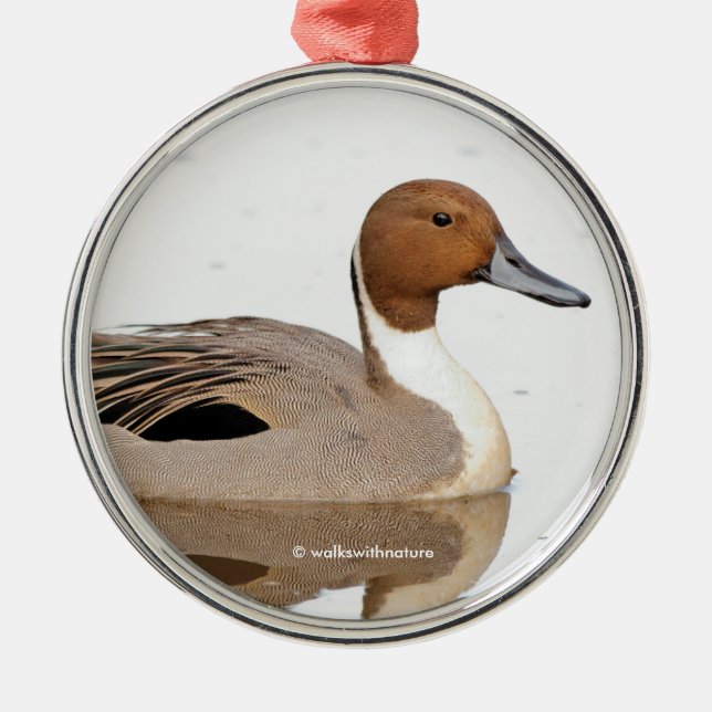 Reflections of a Northern Pintail Duck Metal Ornament (Front)